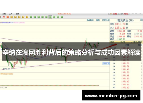 辛纳在澳网胜利背后的策略分析与成功因素解读