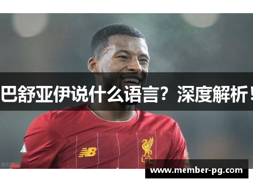 巴舒亚伊说什么语言?深度解析! 巴舒亚伊说什么语言?深度解析!